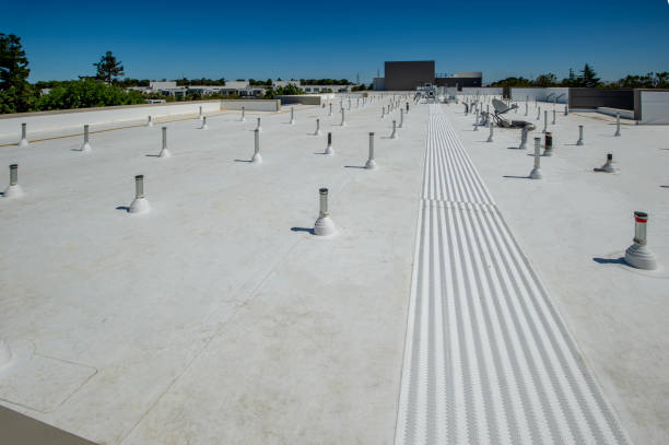 Best Sheet Metal Roofing  in Aptos, CA